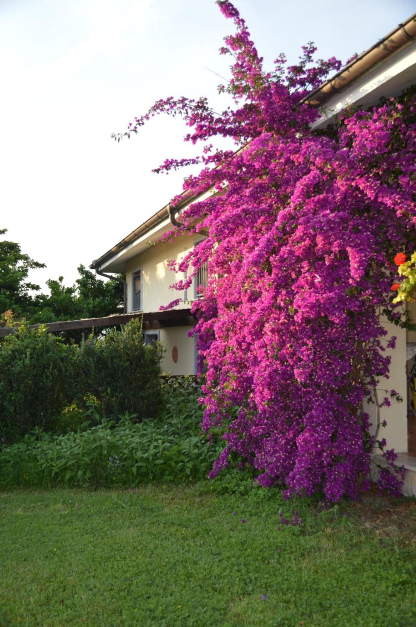 Villa Collebelvedere - Near Rome With Home Restaurant Fara in Sabina Zewnętrze zdjęcie